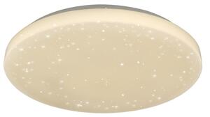 Rabalux 5435 - LED Stropní svítidlo ROB LED/20W/230V