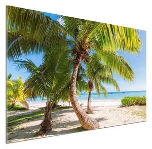 Panel do kuchyně Tropická pláž pksh-126132906