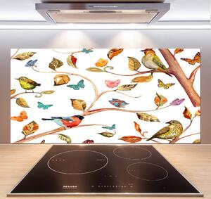Panel do kuchyně Ptáci a motýli pksh-126221469