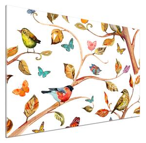 Panel do kuchyně Ptáci a motýli pksh-126221469