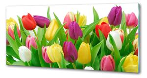 Panel do kuchyně Barevné tulipány pksh-12652067
