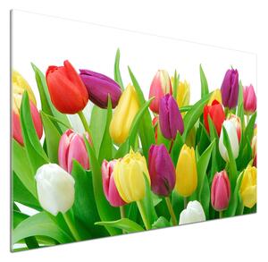 Panel do kuchyně Barevné tulipány pksh-12652067