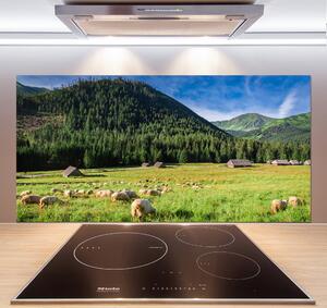 Panel do kuchyně Ovce v Tatrách pksh-127508967