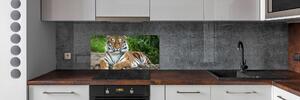 Panel do kuchyně Tygr ussurijský pksh-129133169