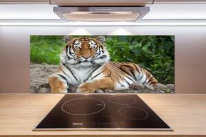Panel do kuchyně Tygr ussurijský pksh-129133169