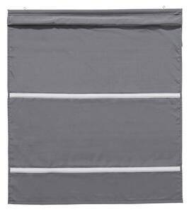 LIVARNO home Stahovací roleta, 100 x 160 cm (šedá) (100370822002)