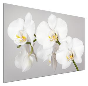 Skleněný panel do kuchynské linky Orchidej pksh-133396361