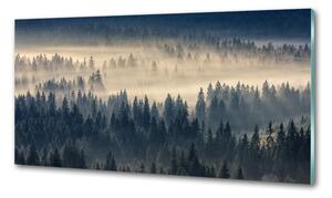 Panel do kuchyně Mlha nad lesem pksh-134224571