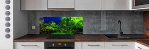 Panel do kuchyně Ryby v akvárium pksh-134899248