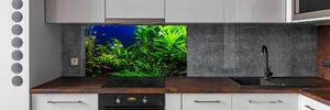 Panel do kuchyně Ryby v akvárium pksh-134899248