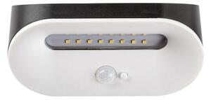 Rabalux 77006 - LED Solární svítidlo se senzorem BREZNO LED/3,2W/3,7V IP44