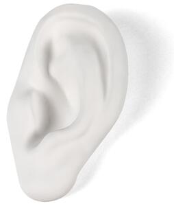 Seletti designové dekorace Memorabilia Mvsevm Ear