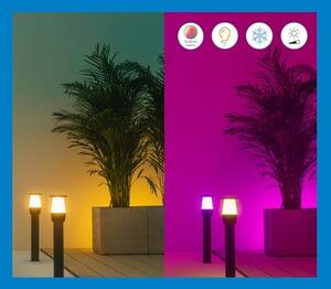 WiZ - LED RGBW Stmívatelná venkovní lampa ELPAS LED/4,8W/12/230V IP65 Wi-Fi