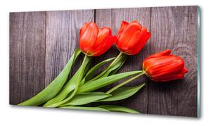 Panel do kuchyně Červené tulipány pksh-137777387