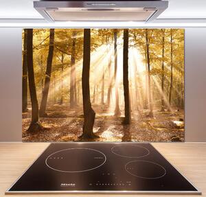 Dekorační panel sklo Podzimní les pksh-140215873