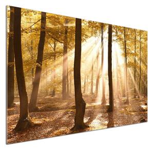 Dekorační panel sklo Podzimní les pksh-140215873