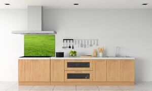 Panel do kuchyně Zelená tráva pksh-141153462