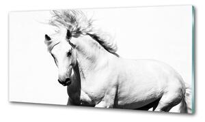 Skleněný panel do kuchynské linky Bílý kůň pksh-14270832