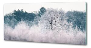 Dekorační panel sklo Stromy zimou pksh-142936706