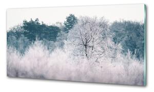 Dekorační panel sklo Stromy zimou pksh-142936706