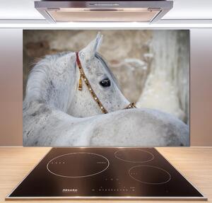 Panel do kuchyně Bílý arabský kůň pksh-143185113