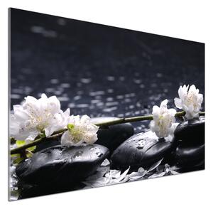 Dekorační panel sklo Květ višně pksh-14431033
