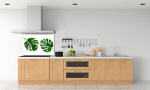Panel do kuchyně Tropické listí pksh-145760830