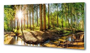 Dekorační panel sklo Panorama les pksh-145813283