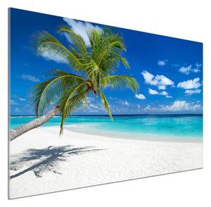 Panel do kuchyně Tropická pláž pksh-151547263