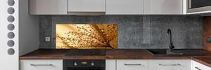 Panel do kuchyně Semeno pampelišky pksh-15712823