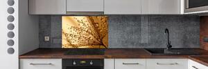 Panel do kuchyně Semeno pampelišky pksh-15712823