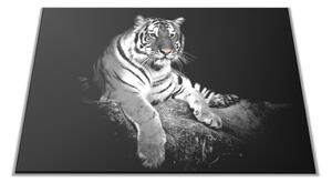 Skleněné prkénko s motivem bílý tygr černé pozadí - 30x20cm