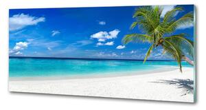 Panel do kuchyně Tropická pláž pksh-158283371