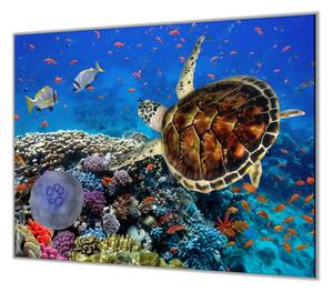 Ochranná deska sklo motiv mořský svět - 50x70cm / S lepením na zeď