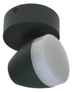 LED Bodové svítidlo SURMUR LED/6W/230V zelená