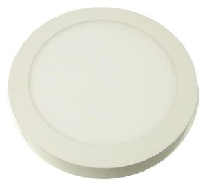LED Stropní svítidlo GERRIT LED/6W/230V 3000K