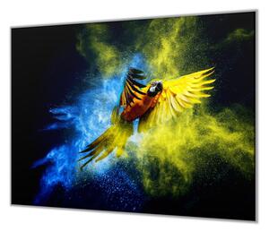 Ochranná deska papoušek Ara Ararauna - 50x70cm / Bez lepení na zeď