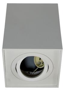Bodové svítidlo SIROCO 1xGU10/30W/230V bílá