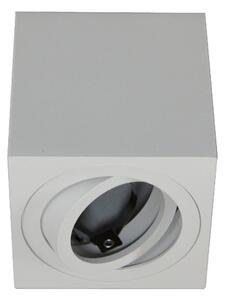 Bodové svítidlo FEBE 1xGU10/30W/230V bílá