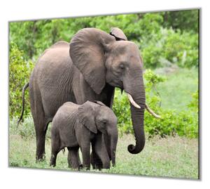 Ochranná deska slonice a slůně v přírodě - 52x60cm / S lepením na zeď