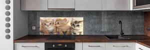 Skleněný panel do kuchynské linky Malé kočky pksh-159538391