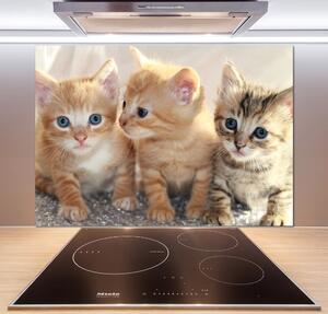 Skleněný panel do kuchynské linky Malé kočky pksh-159538391