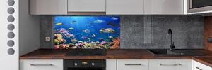 Panel do kuchyně Korálový útes pksh-161347812