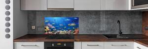 Panel do kuchyně Korálový útes pksh-161347812