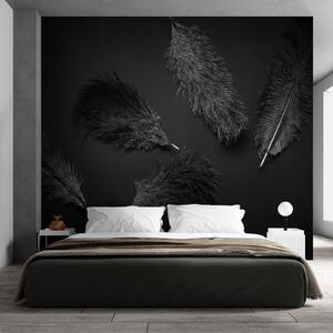 Fototapeta Skupina černých per, Designové fototapety na zeď, Populární fototapety, u72331 - Tapeko.co.cz