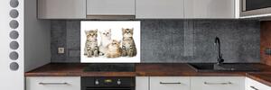 Skleněný panel do kuchynské linky Malé kočky pksh-162169974