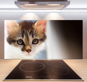 Skleněný panel do kuchynské linky Malá kočka pksh-162385240