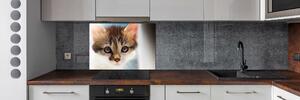 Skleněný panel do kuchynské linky Malá kočka pksh-162385240