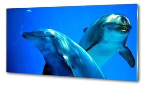 Dekorační panel sklo Dva delfíni pksh-16277956