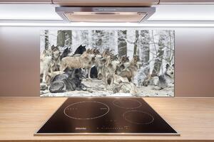 Dekorační panel sklo Vlci a zima pksh-171243935